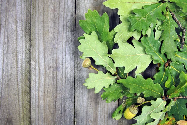 Autumn background, oak twigs and acorns on wooden background — Stock Photo, Image