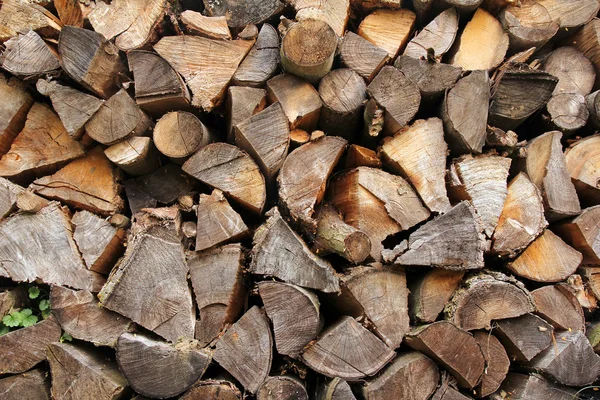 Wood logs background — Stock Photo, Image