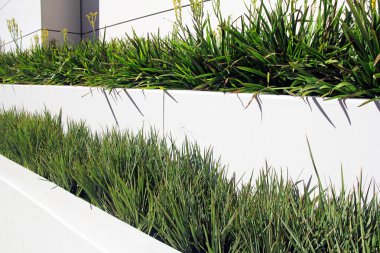 Yeşil çimenlerin üzerinde flowerbed