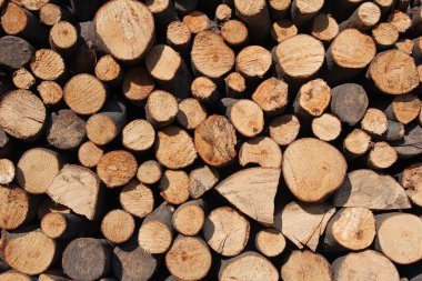Wood logs background clipart