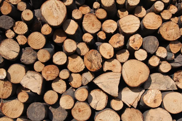 Wood logs background — Stock Photo, Image