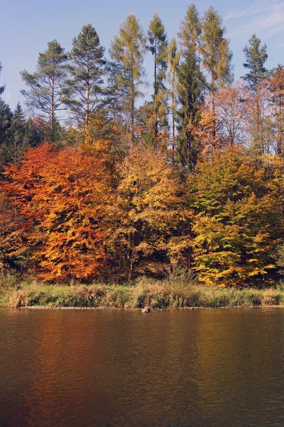 Осінні старовинні пейзажі- ліс і річка — стокове фото