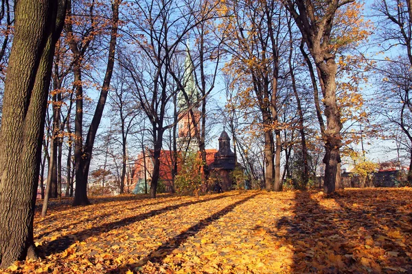 Herfst park en St. Joseph's kerk in Krakau, Polen — Stockfoto