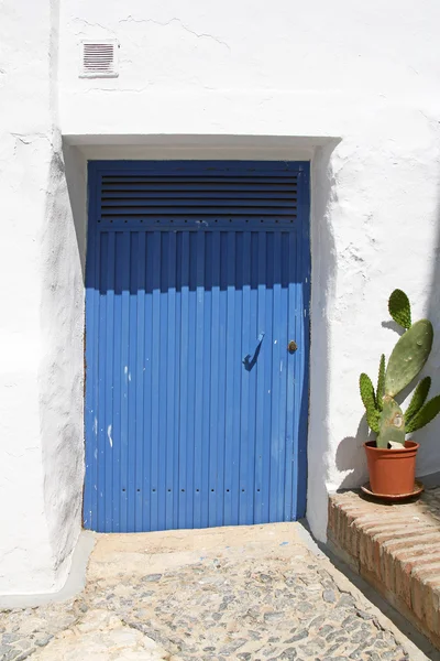 Modré kovové dveře a kaktus v hliněném hrnci — Stock fotografie