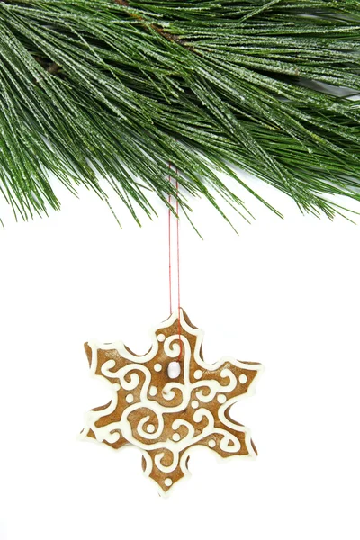 Christmas snowflake gingerbread and fir tree on white background — Stock Photo, Image