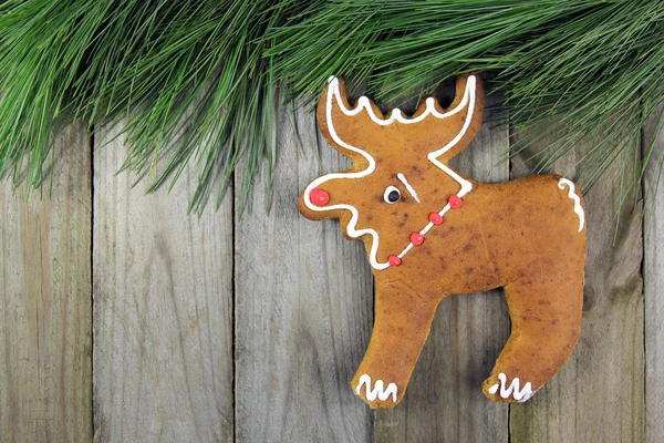 Moose handmade gingerbread and fir tree on wooden background — Stock Photo, Image