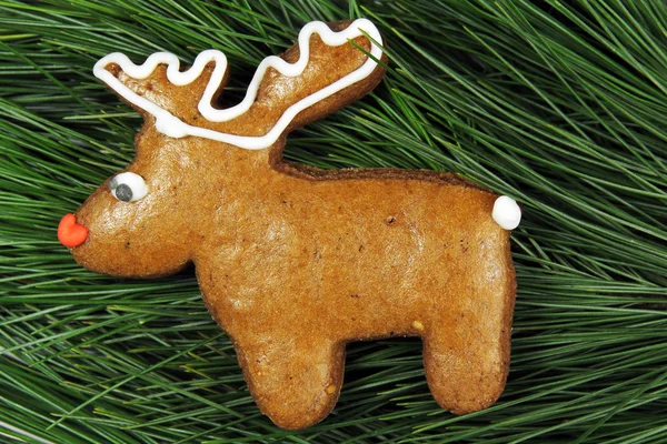Homemade reindeer gingerbread on fir tree — Stock Photo, Image