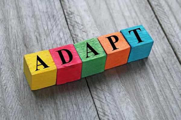 Word adapt on colorful wooden cubes — Stock Photo, Image