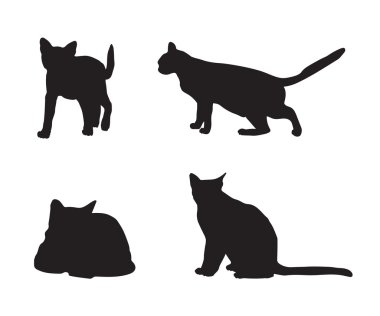 kedi siyah siluetler
