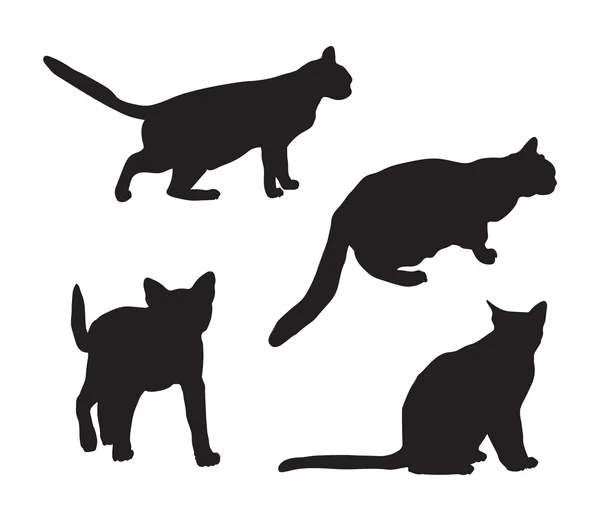 Schwarze Silhouetten von Katzen — Stockvektor