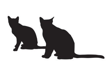 kedi siyah siluetler