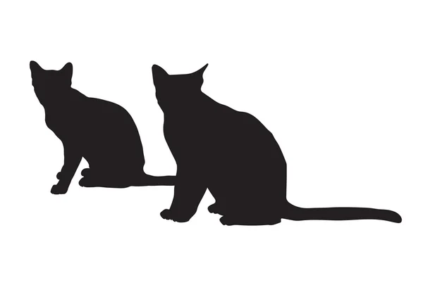 Schwarze Silhouetten von Katzen — Stockvektor