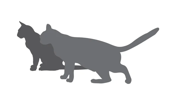 Twee grijze silhouetten van katten — Stockvector