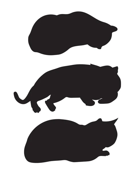 Schwarze Silhouetten liegende Katzen — Stockvektor
