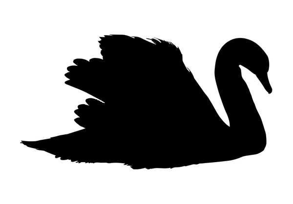 Black silhouette of swan — Stock Vector