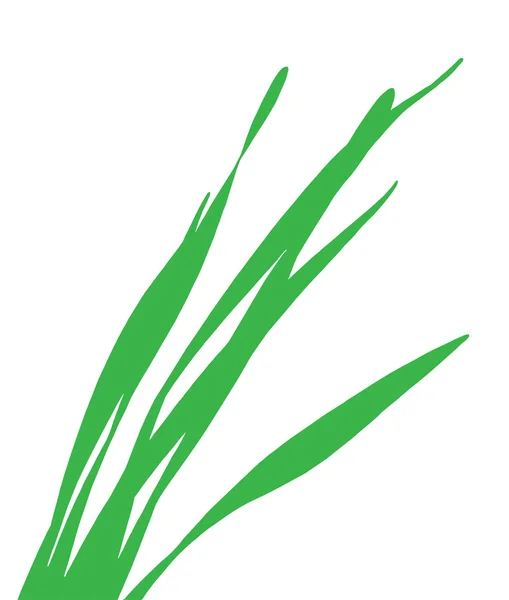 Hoja de hierba verde vector — Vector de stock