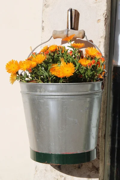 Flor amarilla en cubo de metal — Foto de Stock