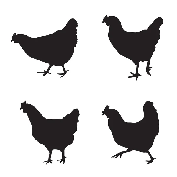 Varias siluetas de pollos — Vector de stock