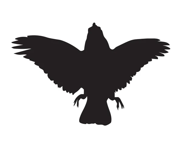黑乌鸦的剪影 — 图库矢量图片