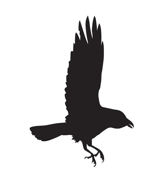 Black silhouette of raven — Stock Vector