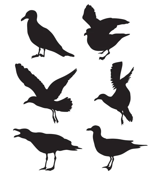 Set of seagulls silhouettes — Stock Vector