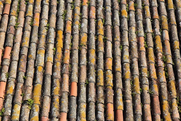 Typical portuguese tile roof background — Stock Photo, Image