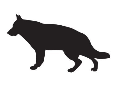 Alman çoban köpeği siyah sillhouete