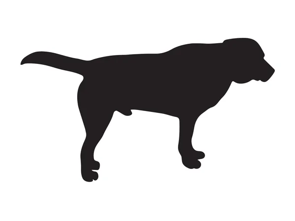 Svart siluett av hund — Stock vektor