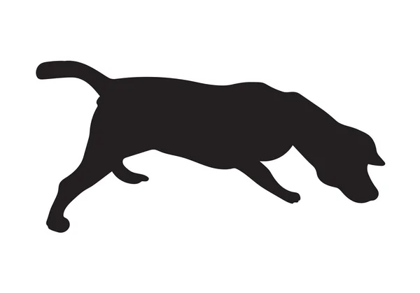 Silueta de Beagle Dog — Vector de stock