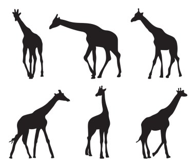farklı siluetleri zürafalar kümesi