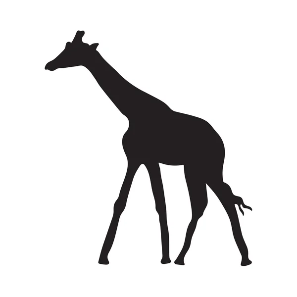 Silueta negra de la jirafa — Vector de stock