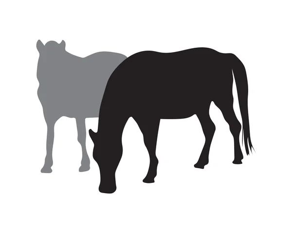 Siluetas de caballos — Vector de stock