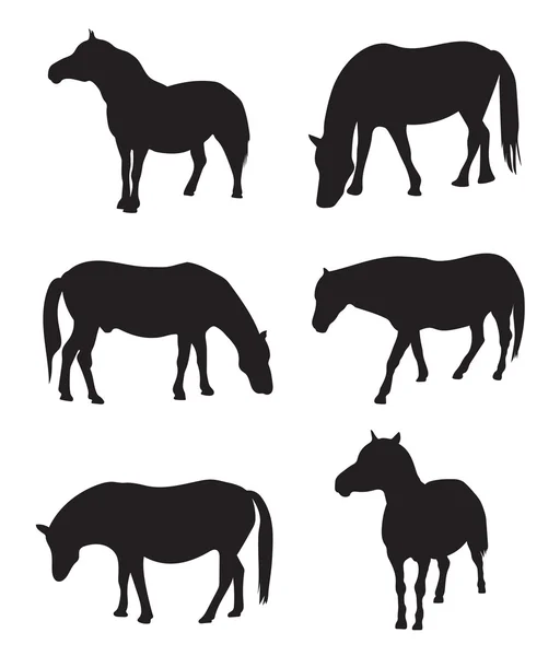 Colección de siluetas negras de caballos — Vector de stock