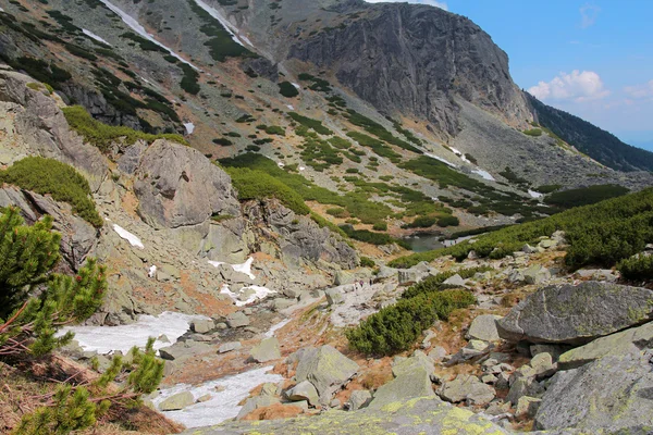 Hermoso valle de Mlynicka en el alto Tatra eslovaco —  Fotos de Stock