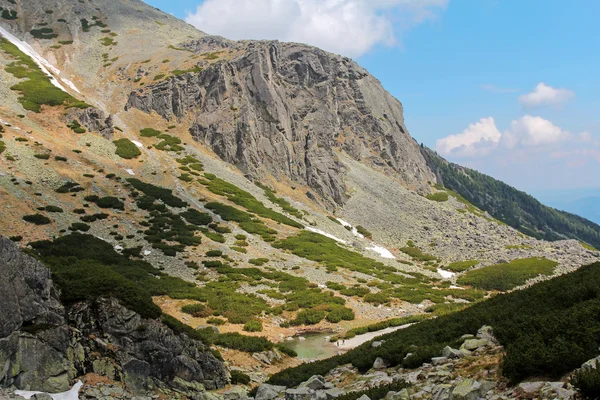 Wunderschönes Mlynicka-Tal in der slowakischen Hohen Tatra — Stockfoto