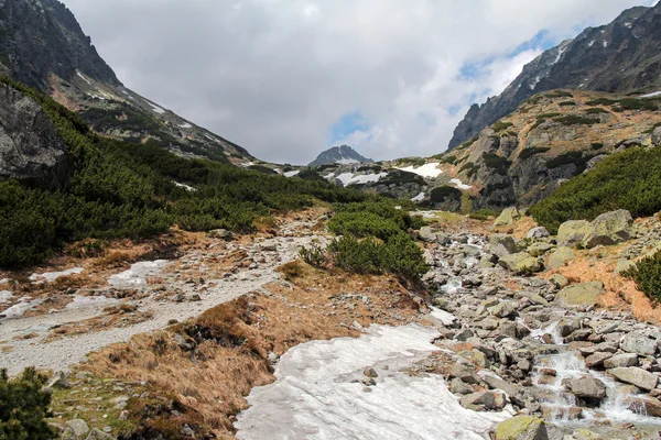 Vista panorâmica do Vale de Mlynicka em Slovak High Tatra — Fotografia de Stock