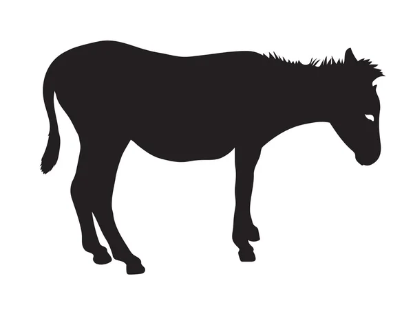 Silueta negra de burro — Vector de stock