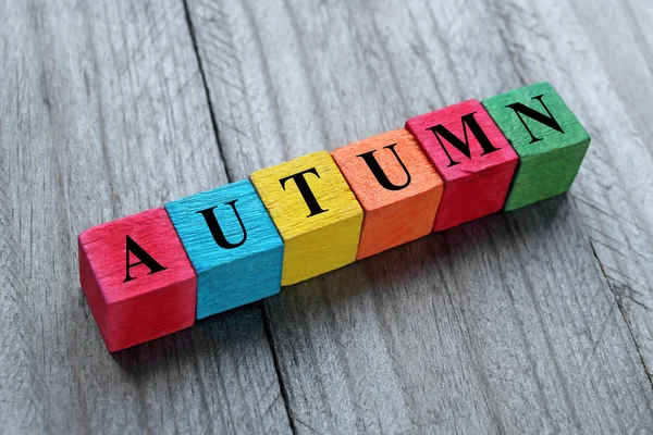Palavra outono em cubos de madeira coloridos — Fotografia de Stock