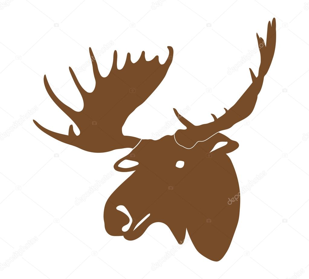 moose deer head