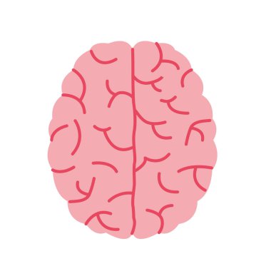 İnsan beyni ikonu, üst görünüm, zekayı, yaratıcılığı, düşünmeyi ve zihinsel sağlık illüstrasyonunu sembolize eder.