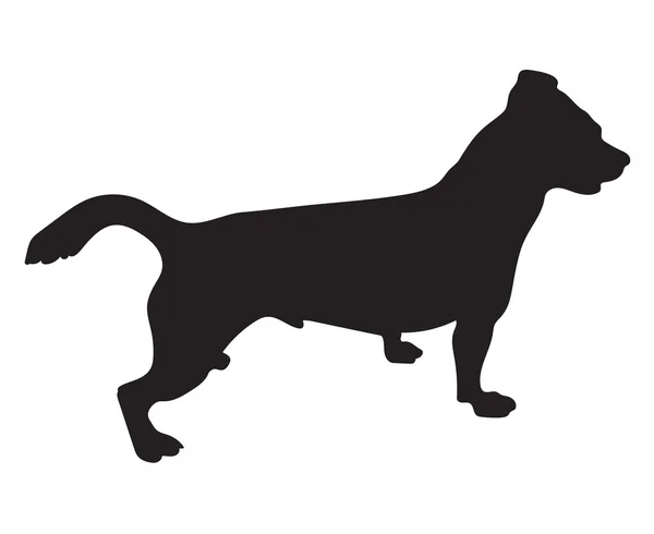 Silueta negro de gato russell terrier perro — Vector de stock