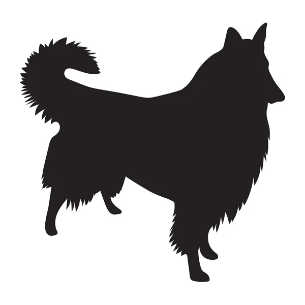 Svart vektor silhuett av långhårig Collie hund — Stock vektor