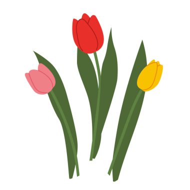 İlkbaharın, tazeliğin ve zarafetin sembolü olarak renkli laleler - vektör illüstrasyonu