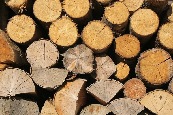 Wood lås bakgrund — Stockfoto