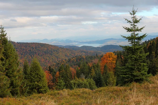 Herfst landschap in Gorce bergen, Polen — Stockfoto