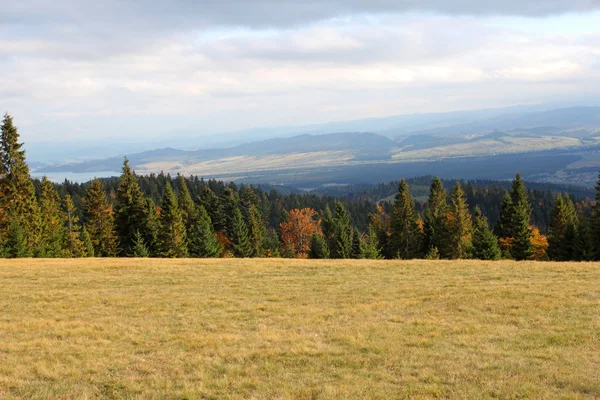 Höstlandskap i Gorce-bergen, Nowy Targ, Polen — Stockfoto