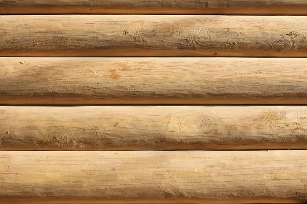 Tronchi di legno fresco sfondo parete — Foto Stock