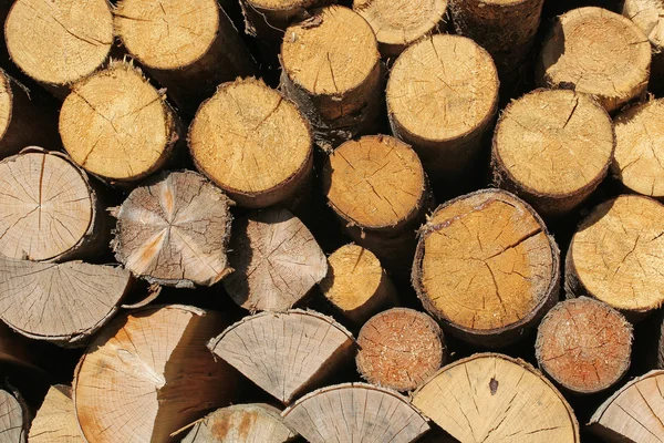 Wood logs background — Stock Photo, Image