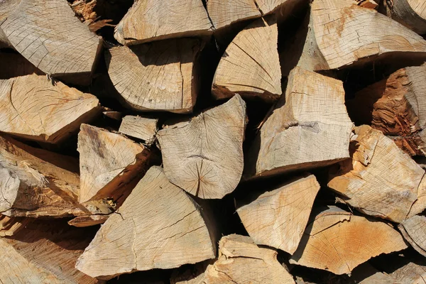 Heap of wood logs ready for winter — Stock Photo, Image