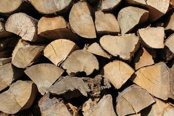 Heap of wood logs ready for winter — Stock Photo, Image